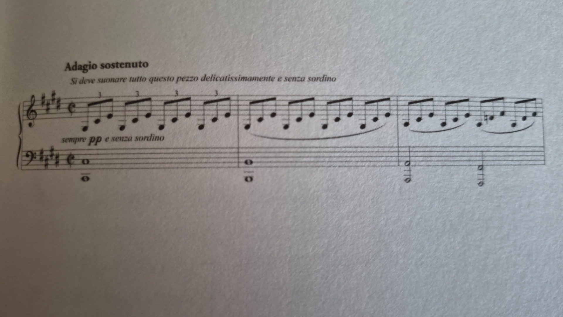 Het begin van de Moonlight sonata van Ludwig van Beethoven, op een van de eerste pagina's van 'Duivels en heiligen'.